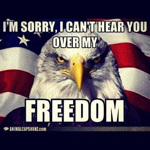 meaning of freedom in america