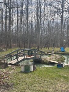 This is the pond I describe in my writing-- The Pond